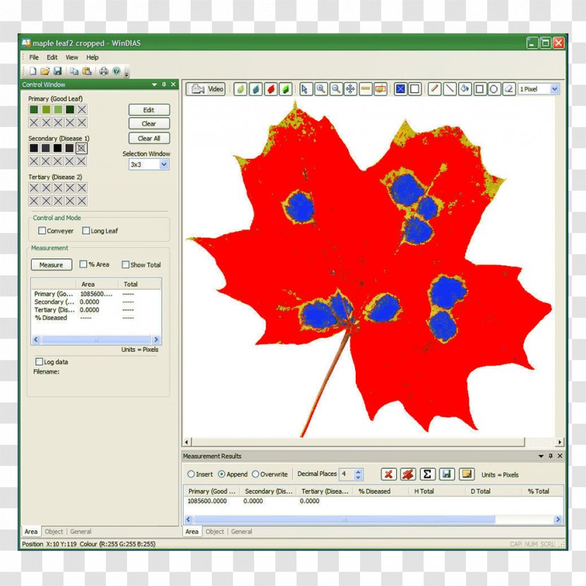 Leaf Area Index Measurement Image Analysis System - Tree Transparent PNG