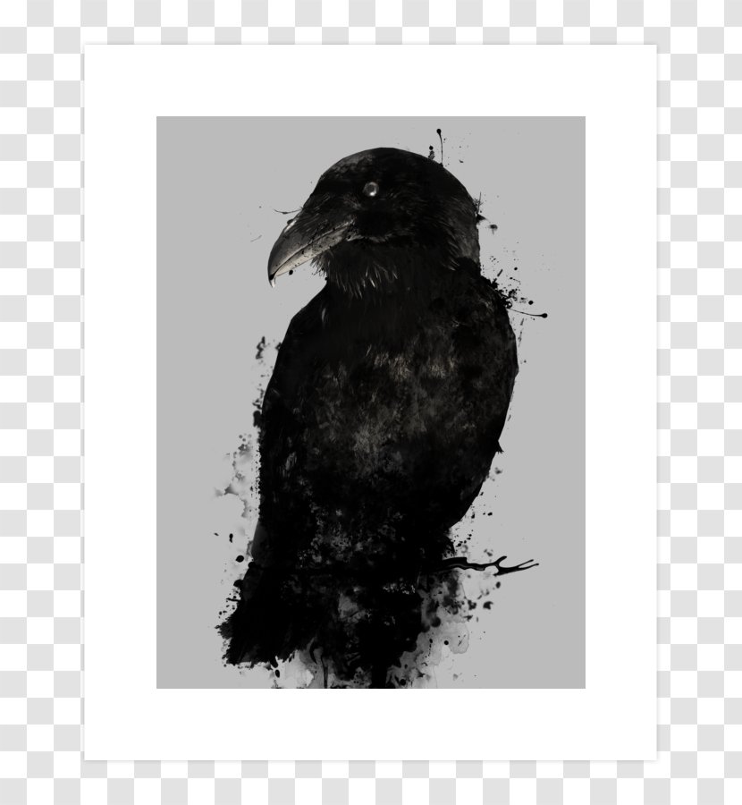 American Crow Common Raven The Odin Huginn And Muninn - Crows - Black White Transparent PNG