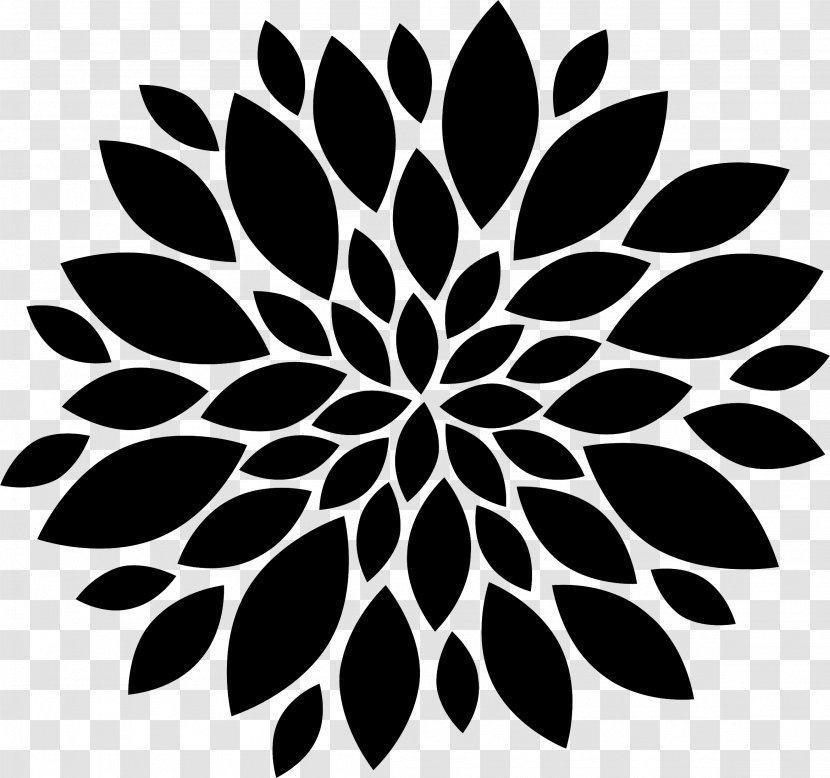Floral Design Clip Art Flower Illustration - Black Transparent PNG