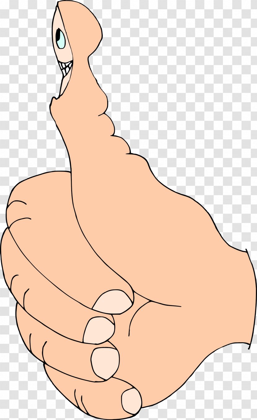 Hand Thumb Signal Clip Art - Cartoon - Thumbs Up Transparent PNG