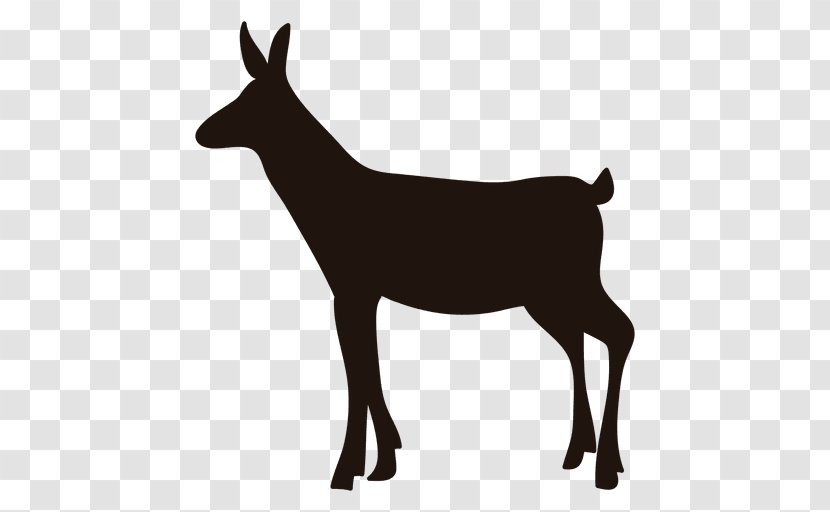 Deer Clip Art - Logo Transparent PNG