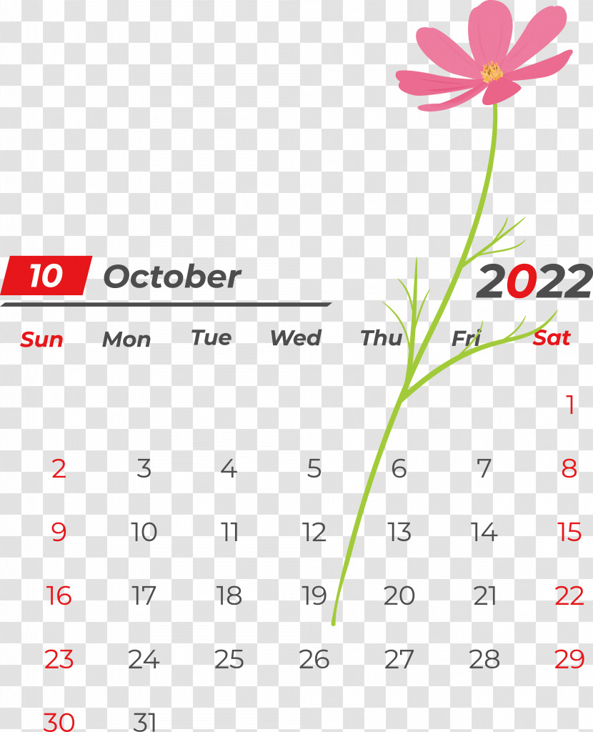 Line Flower Font Calendar Petal Transparent PNG
