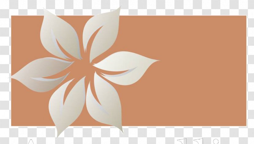 Amaryllis Aesthetics Facebook, Inc. Beauty - Facebook Inc - Flower Transparent PNG