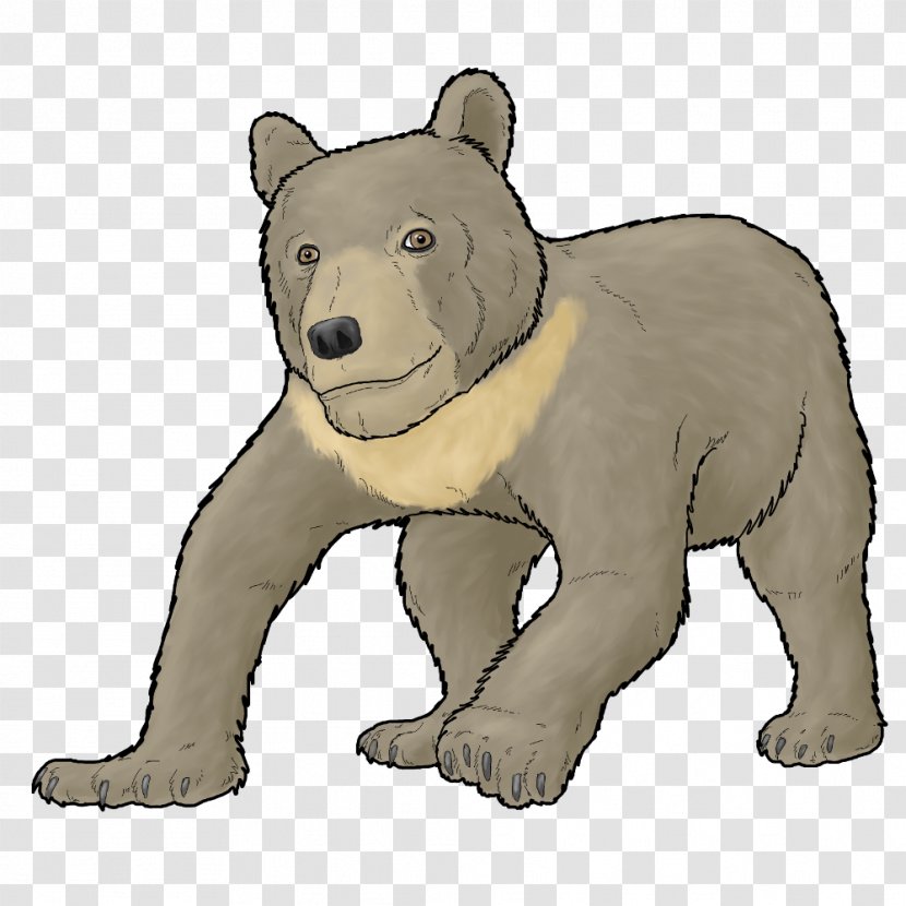 Polar Bear Brown Cave Bears' - Digital Art Transparent PNG
