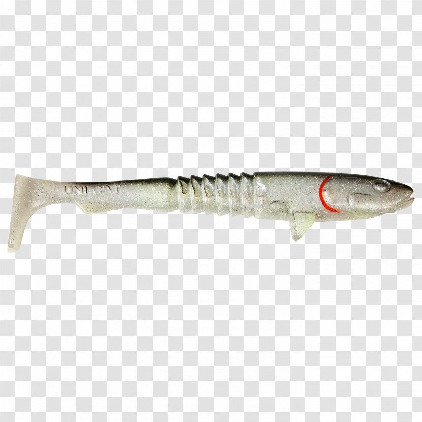 Northern Pike Predatory Fish Wels Catfish Fishing Bait Transparent PNG