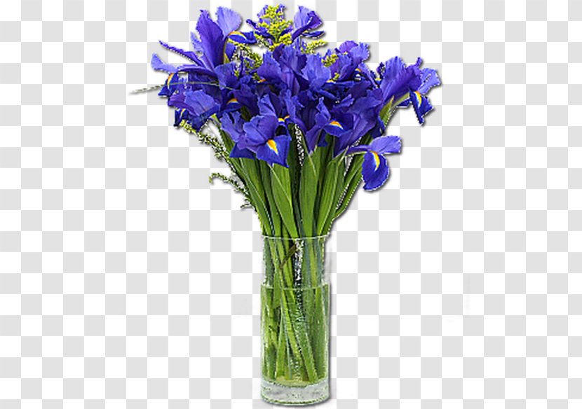 Irises Vase Flower Delivery Floristry - Iris Data Set Transparent PNG
