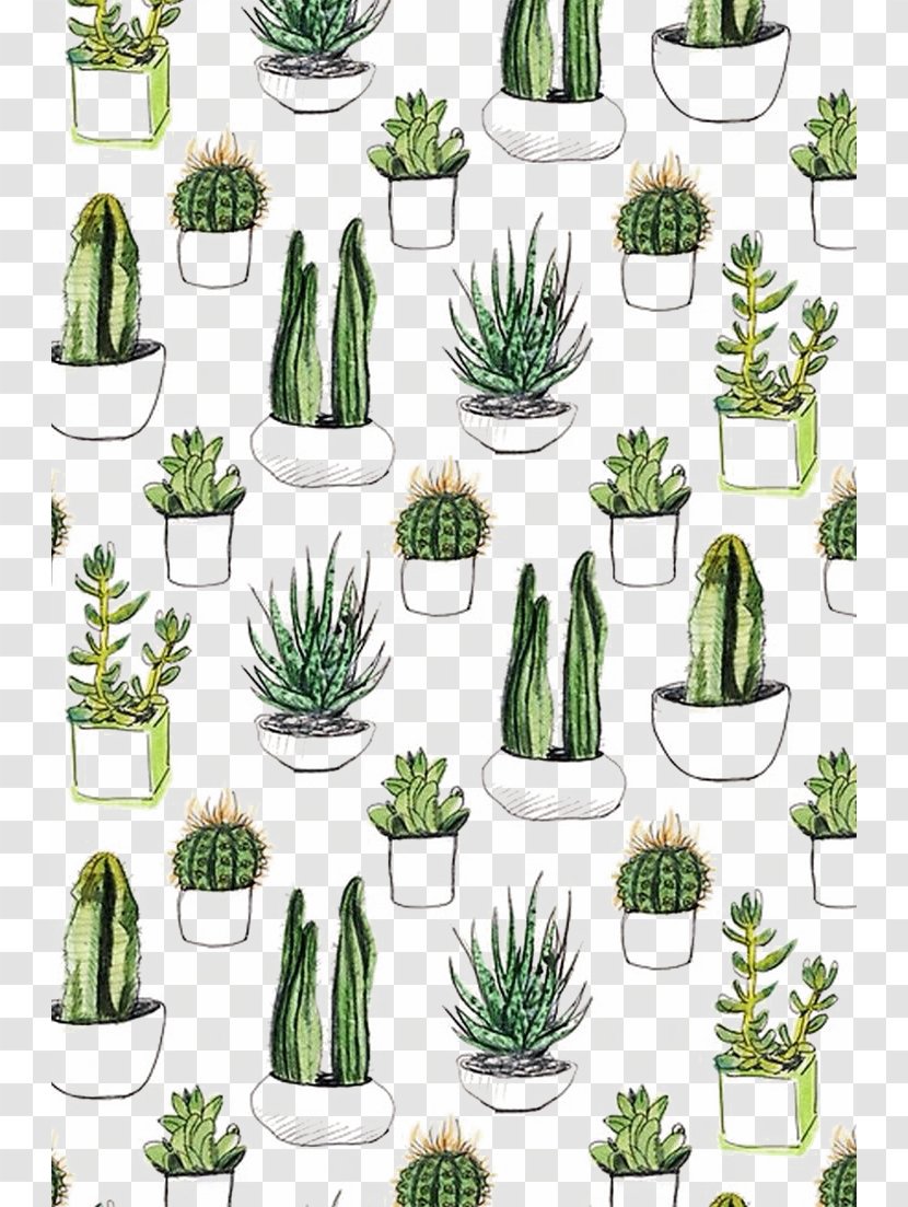 Paper Cactaceae Cacti & Succulents Printmaking Succulent Plant - Grass - Cactus Background Shading Transparent PNG