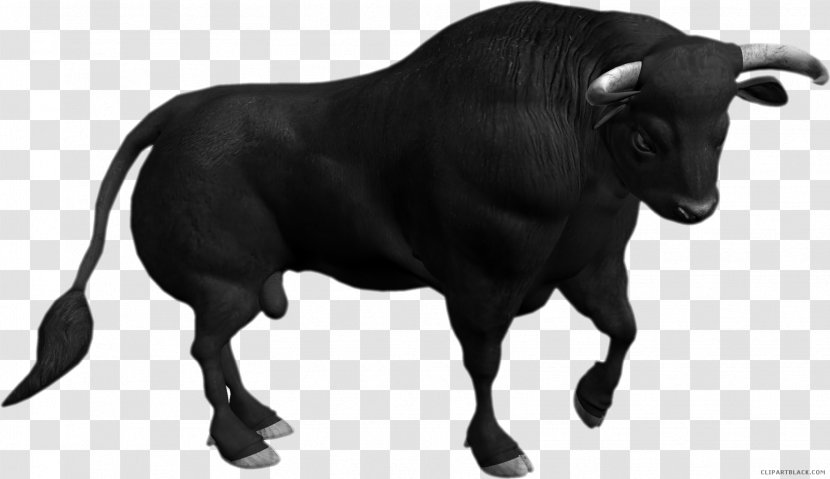 Ox Angus Cattle Brahman Clip Art - Horn - Bull Transparent PNG
