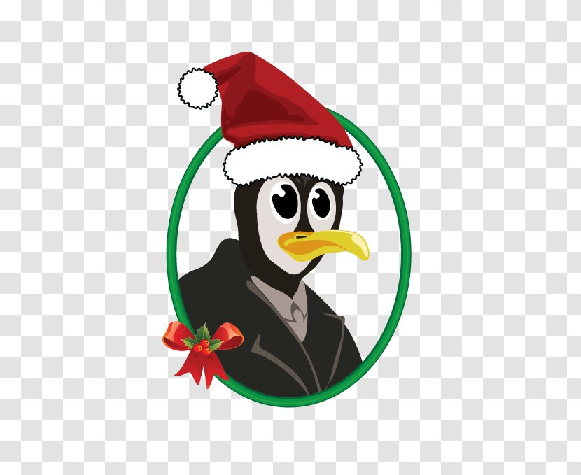Flightless Bird Penguin Vertebrate Christmas - Animal Transparent PNG