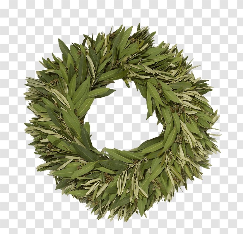 Olive Wreath Gift House Dining Room - Herb Transparent PNG