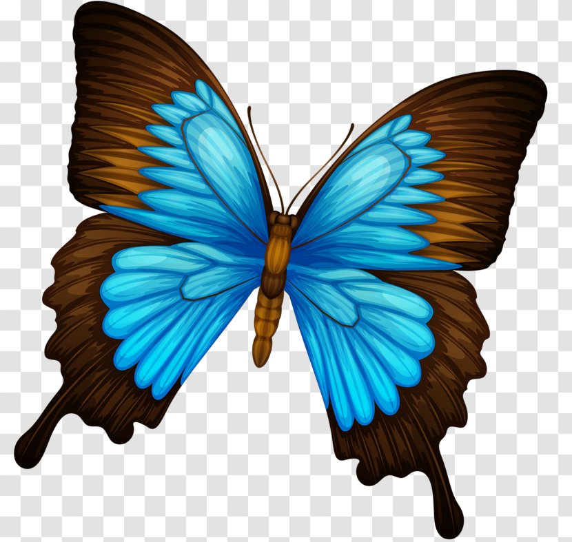 Stock Photography Royalty-free Clip Art - Arthropod - Butterfly Transparent PNG