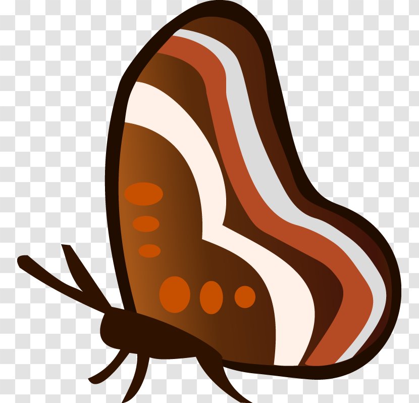Butterfly Insect Moth Clip Art - Cdr Transparent PNG