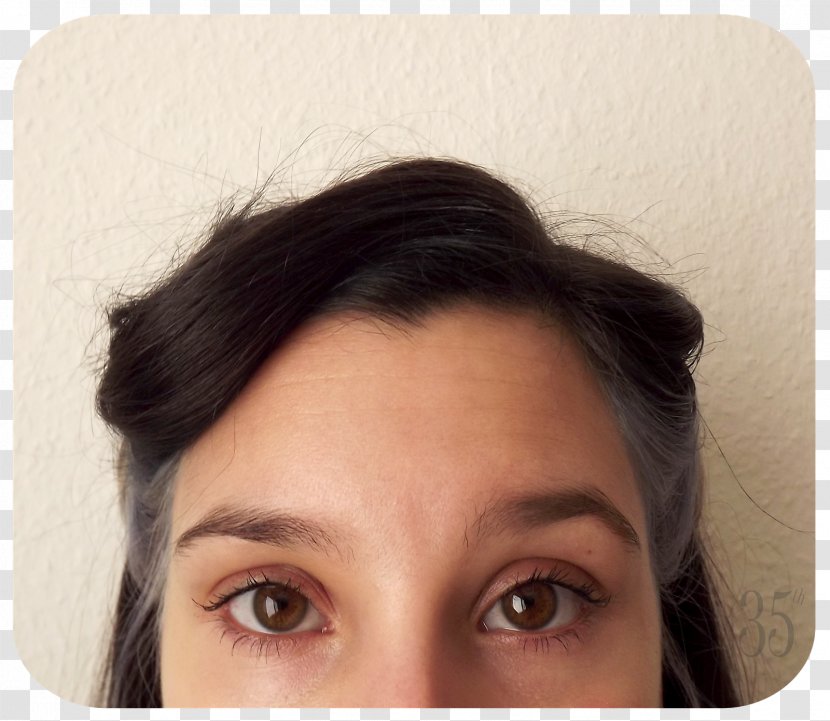 Eyebrow Hair Coloring Forehead Eyelash Cheek - Skin - Chocolate Mousse Transparent PNG
