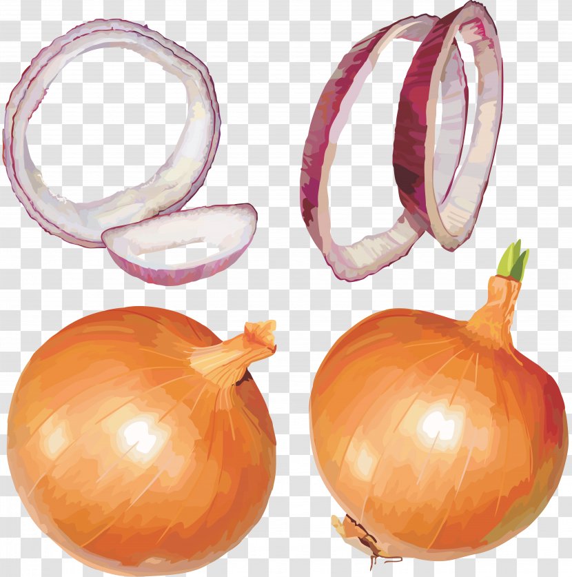 Blooming Onion Red Clip Art - Shallot - Garlic Transparent PNG