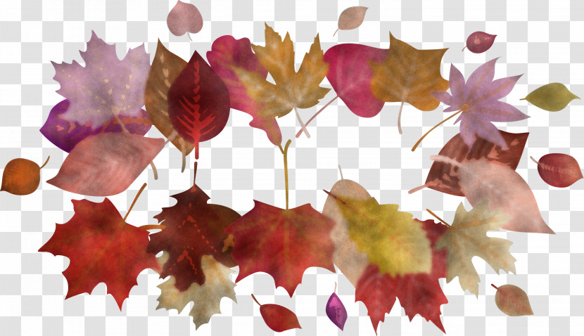 Autumn Frame Autumn Leaves Frame Leaves Frame Transparent PNG