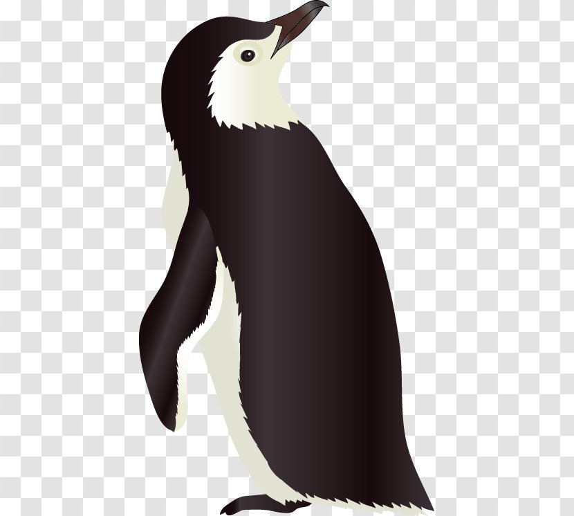 Penguin Razorbills Vecteur - Beak - Vector Material Transparent PNG