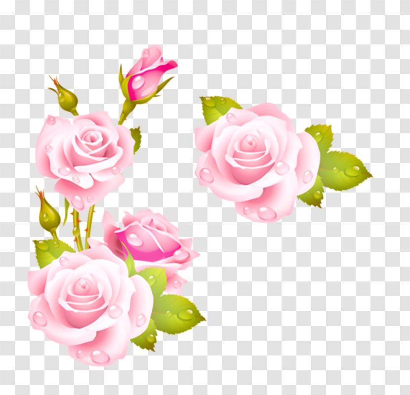 Rose Flower Picture Frames Pink Clip Art - Flowers Transparent PNG
