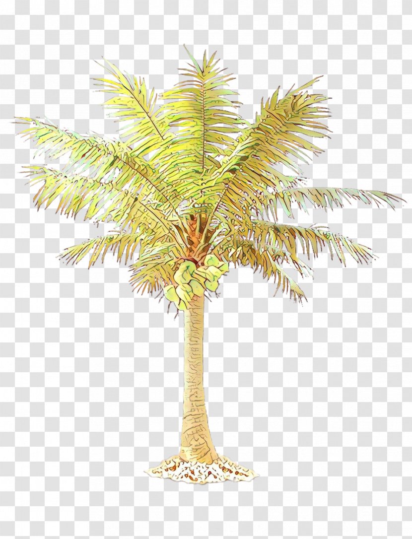 Palm Trees Clip Art California Mexican Fan - Flowering Plant Transparent PNG