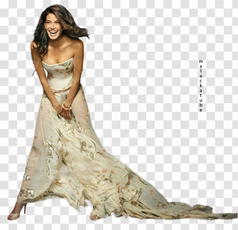 Susan Mayer Lois Lane Female - Model Transparent PNG