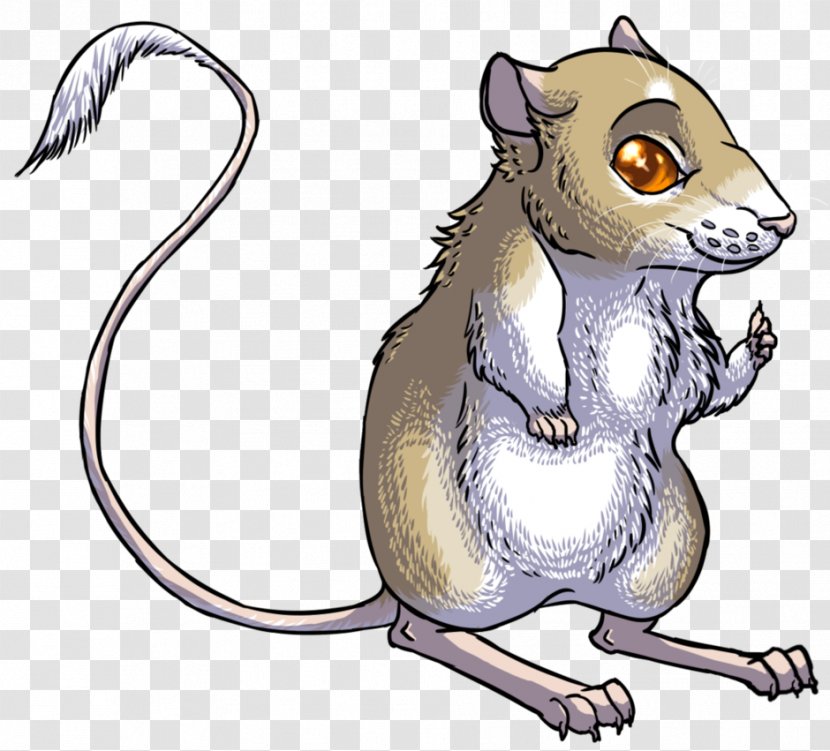 Rat Cat Rodent Mouse Kangaroo - Like Mammal - Cartoon Transparent PNG