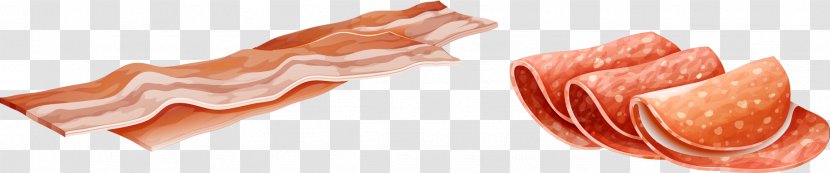 Bacon Seafood - Frame - Fresh Transparent PNG