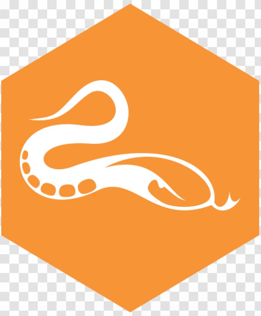 Product Key Download - Serial Code - PYTHON Transparent PNG