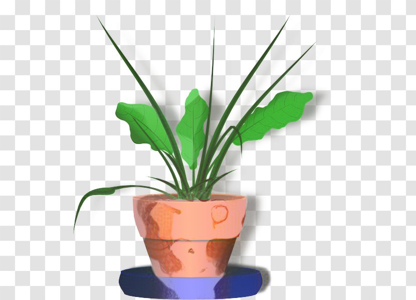 Flowerpot Houseplant Clip Art Plants - Anthurium - Plant Transparent PNG