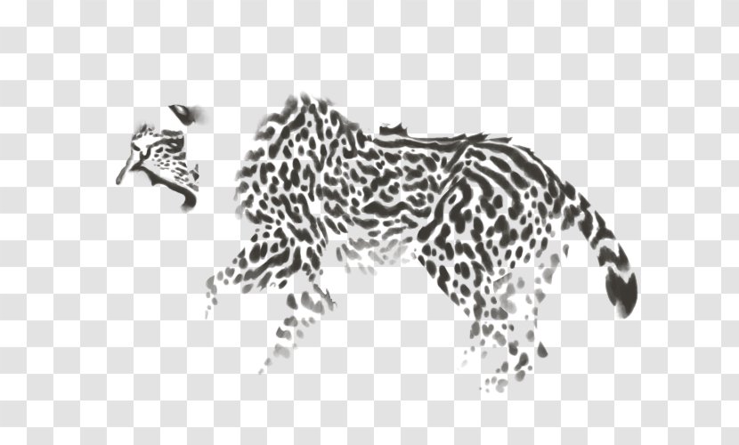 Felidae Leopard Cheetah Lion Cat - Fauna Transparent PNG
