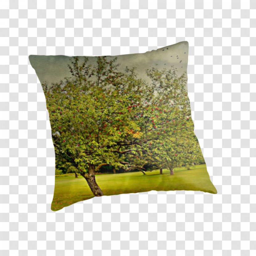 Throw Pillows Cushion - Grass - Pillow Transparent PNG