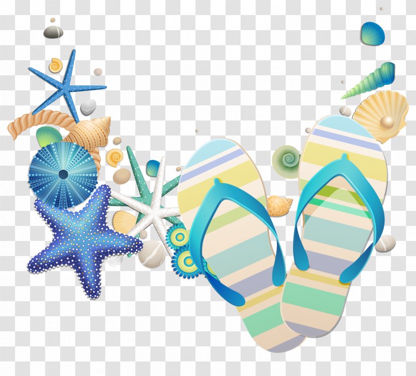 Seashell Poster - Fresh Summer Shell Vector Transparent PNG