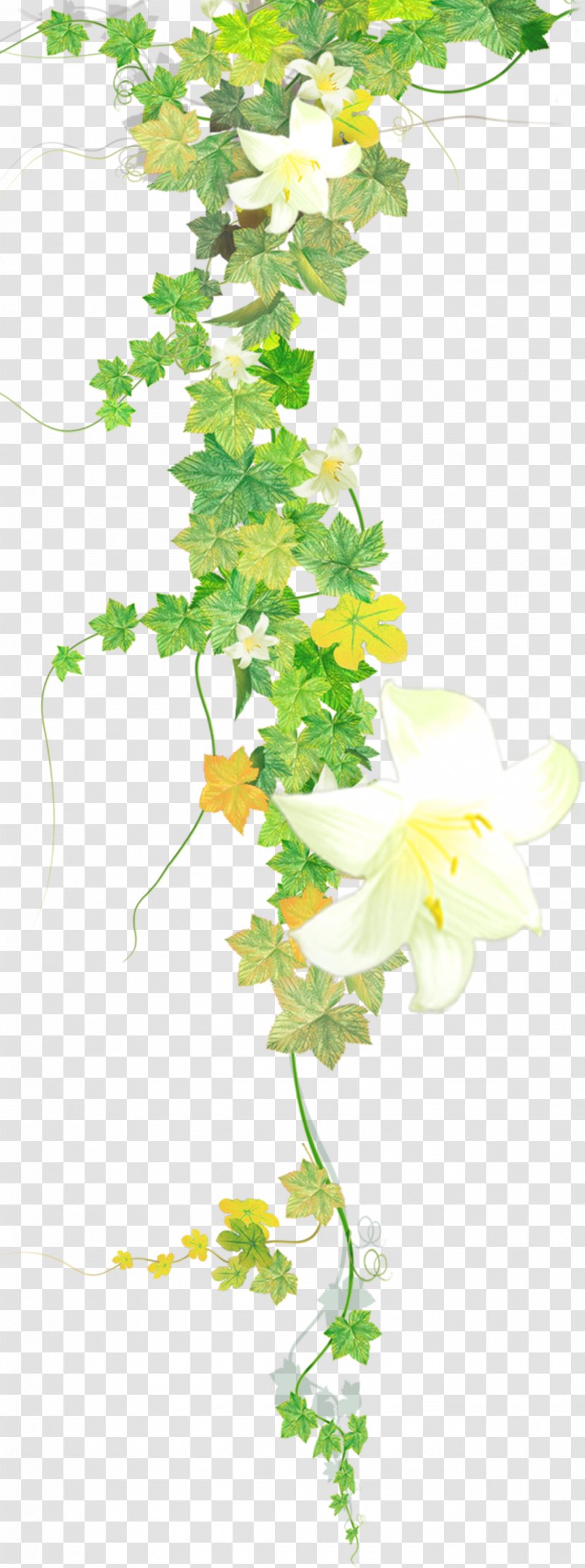 Watercolor Flower Background - Plant Stem - Twig Cut Flowers Transparent PNG