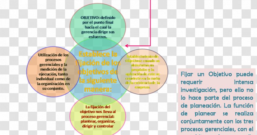 Manager Skills Management 0 Organization Idea - Diagram - Leadership Transparent PNG