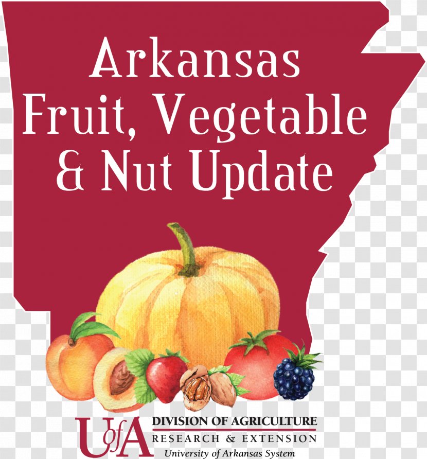 Vegetarian Cuisine Fruit Vegetable Arkansas Transparent PNG