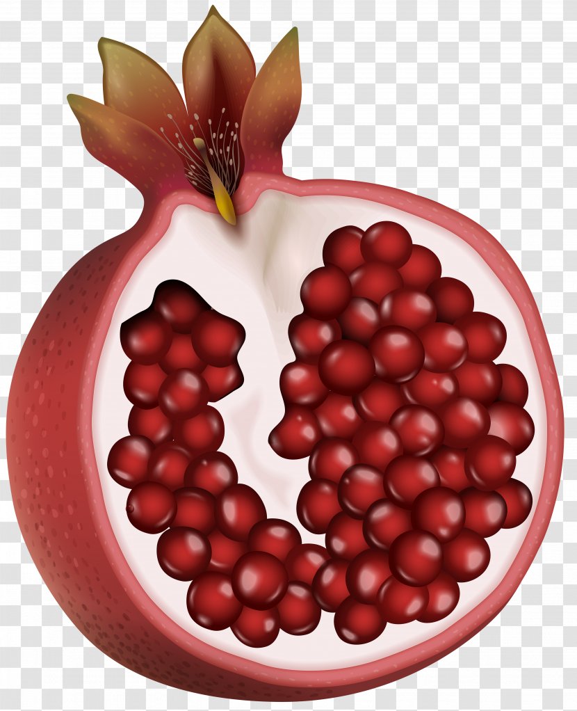 Pomegranate Fruit Blueberries Clip Art - Berry - Red Image Transparent PNG