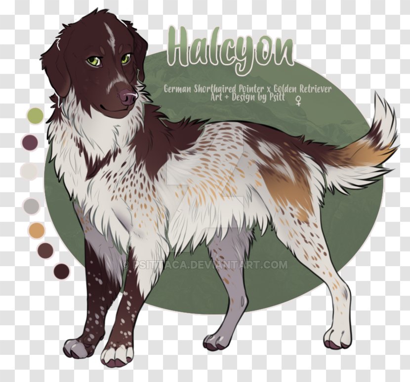 Stabyhoun Dog Breed Rare (dog) Sporting Group Transparent PNG