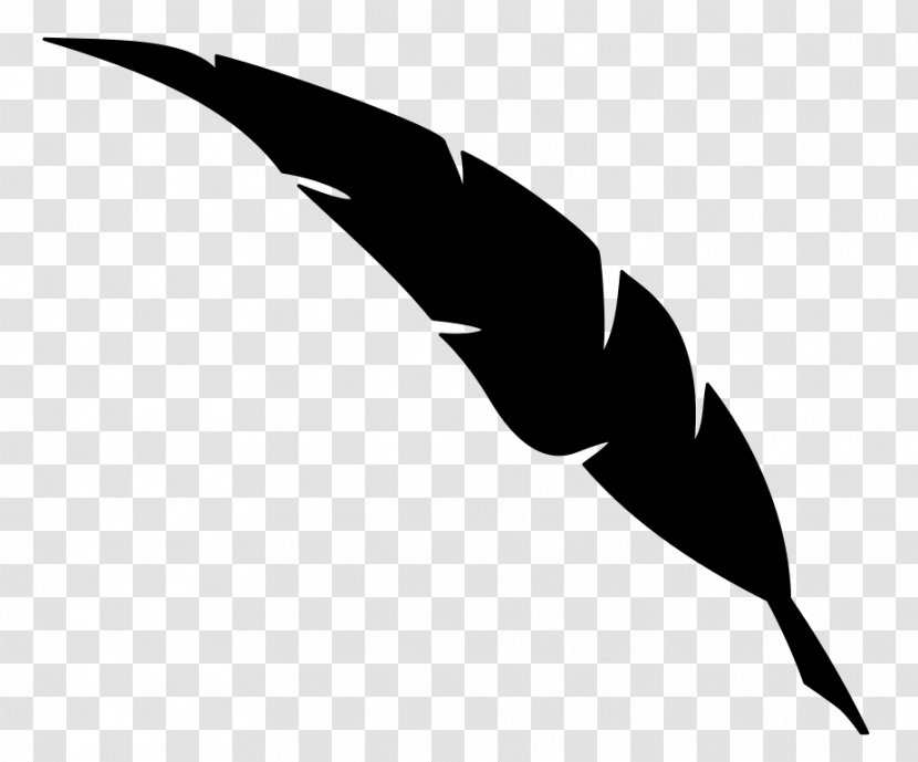 Beak Clip Art Feather Line Mammal - Pen - Photography Transparent PNG