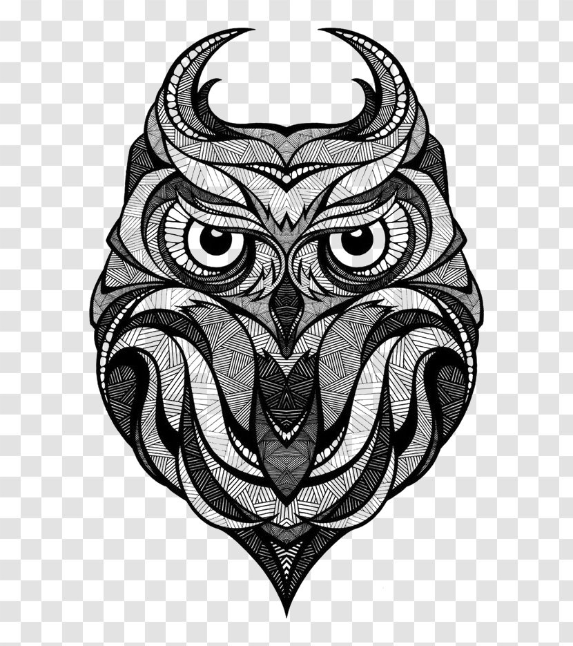 Black Owl - Beak - Monochrome Photography Transparent PNG