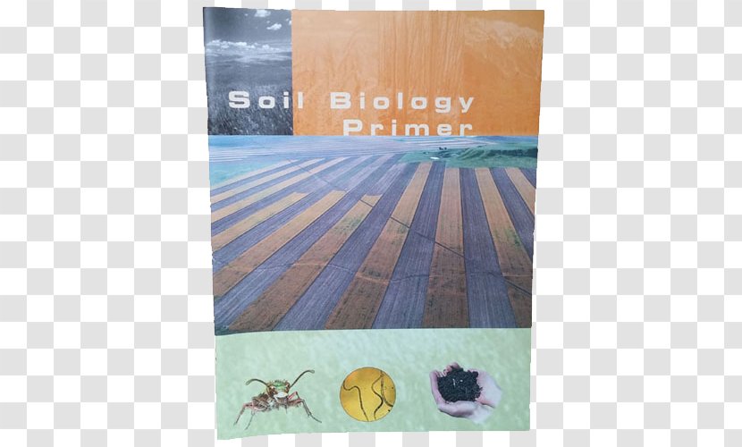 Soil Biology Microbiology Health - Text - Earth Transparent PNG