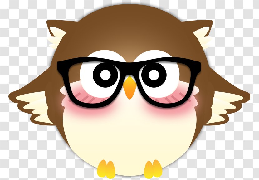Owl Bird - Eyewear - Owls Transparent PNG