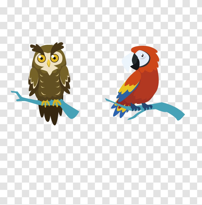 Owl Bird Parrot Crows Macaw - Vector Transparent PNG