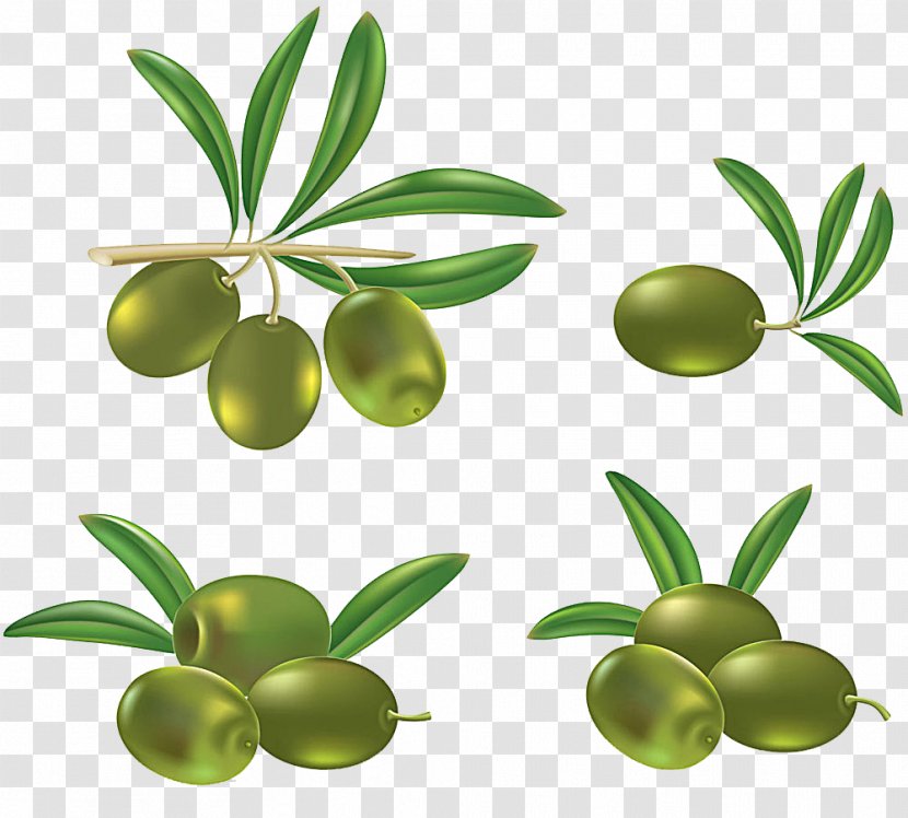 Olive Oil Clip Art - Plant - Olives Transparent PNG