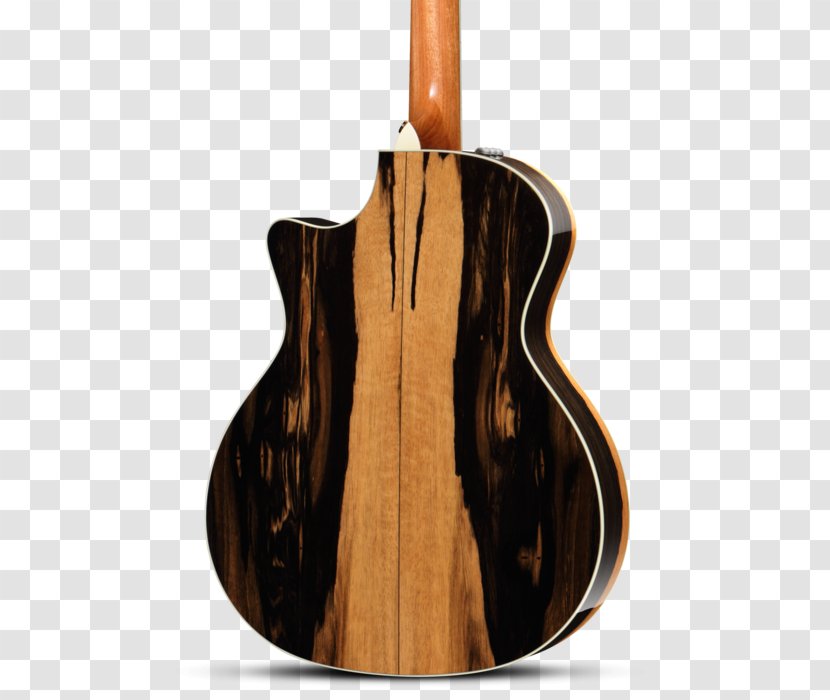 Bass Guitar Acoustic Acoustic-electric Taylor Guitars - String Instrument - Poster Transparent PNG
