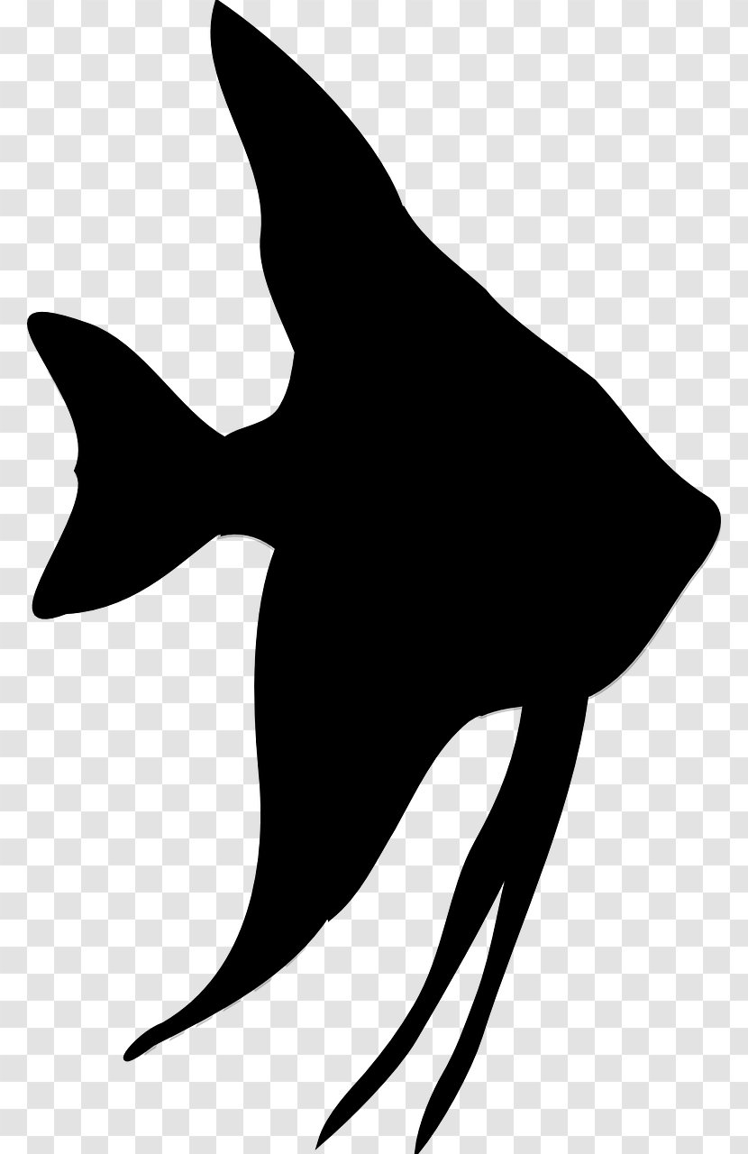 Silhouette Fish Clip Art - Freshwater Angelfish - Starfish Transparent PNG