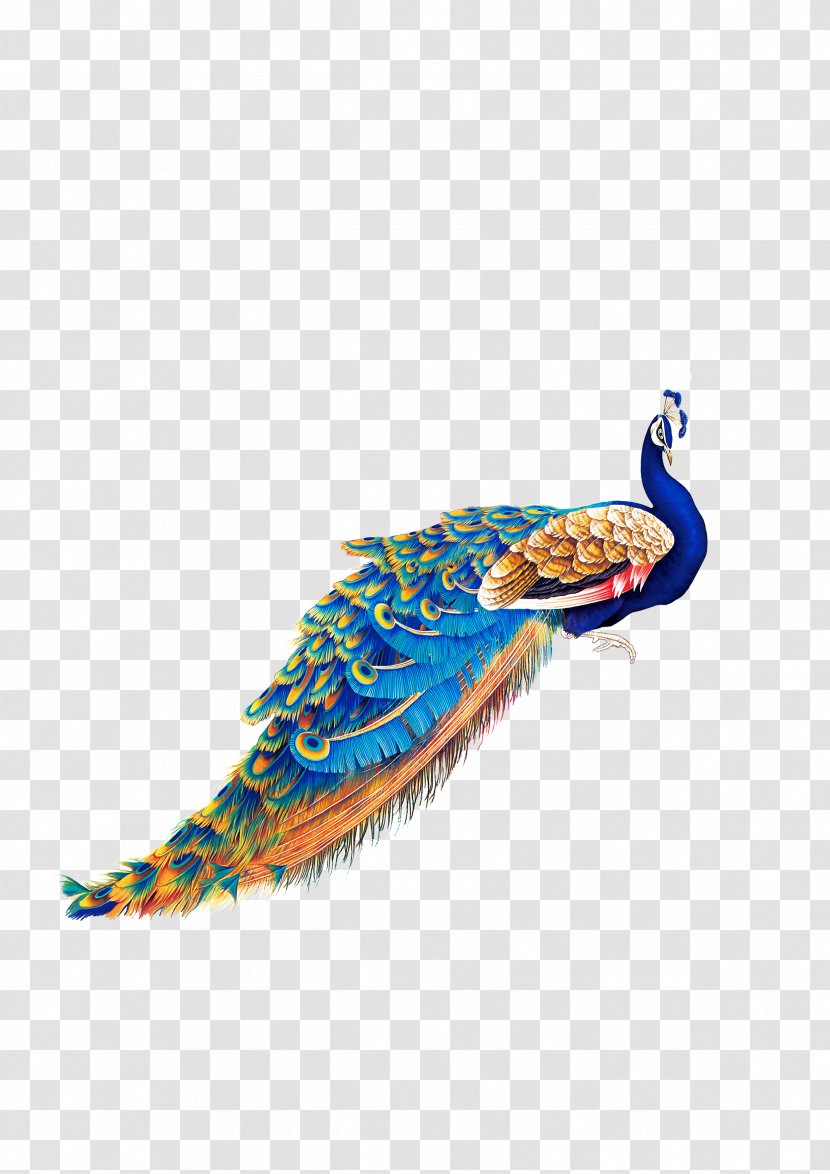 Bird Peafowl Wallpaper - Product Design - Peacock Transparent PNG