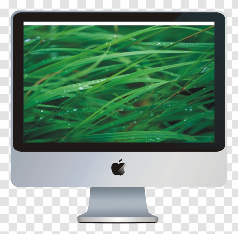 Macintosh MacOS Mac OS X Leopard Tiger Wallpaper - Os Lion - Apple Display Transparent PNG