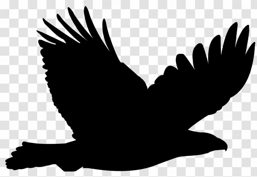 Bald Eagle Clip Art Vector Graphics Bird - Blackandwhite Transparent PNG