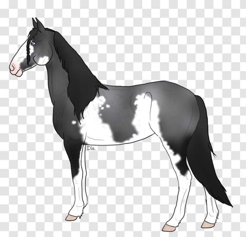 Mustang Stallion Foal Colt Mare - Halter - Height Rescue Transparent PNG