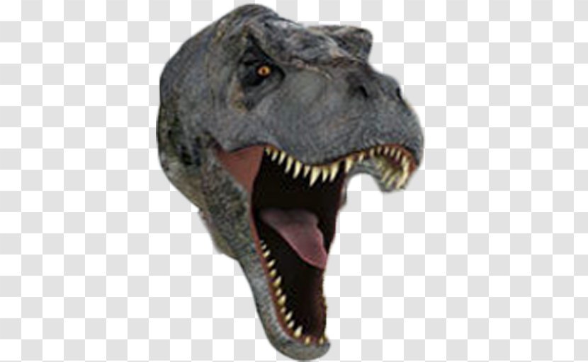 Tyrannosaurus Velociraptor Jurassic Park: The Ride Jaw - Dino Google Transparent PNG