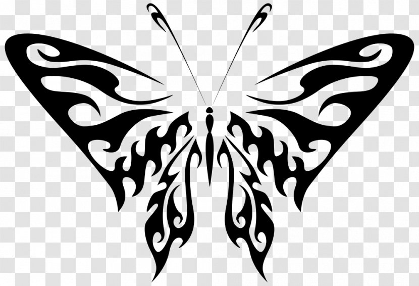 Butterfly Art Drawing Photography Clip - Stencil Transparent PNG