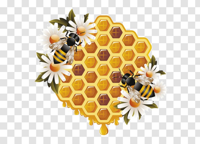 Honey Bee Worker Beehive - Fruit - Hive Template Download Transparent PNG